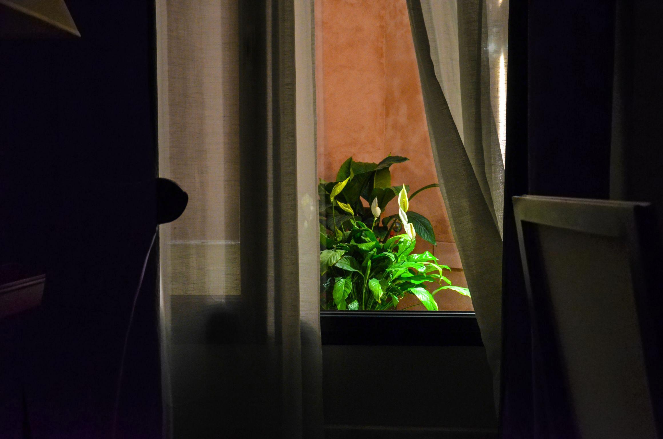 Aguilas5 Sevillasuites Екстер'єр фото